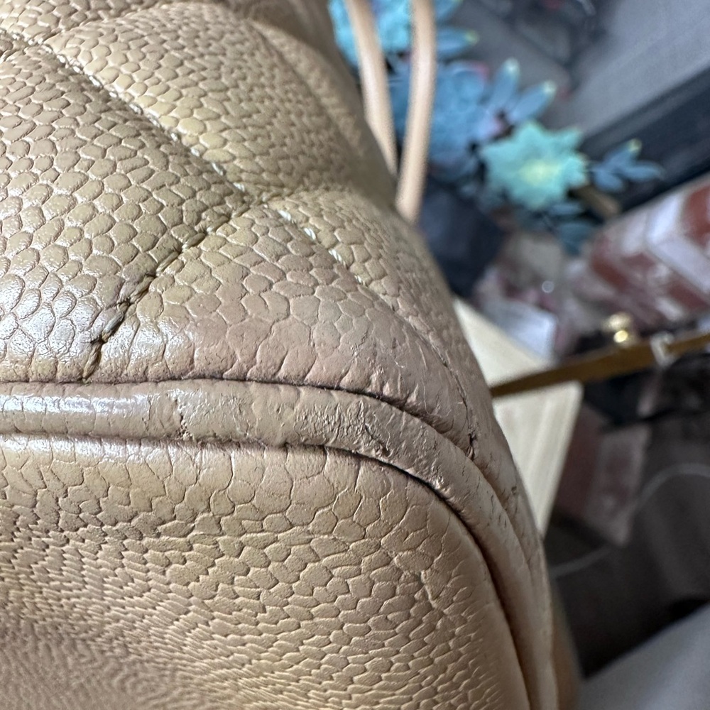 Chanel Beige Caviar Medallion Tote – Gold Hardware - Picture 14 of 14